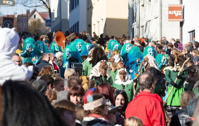 Faschingsumzug - Bild 36_35