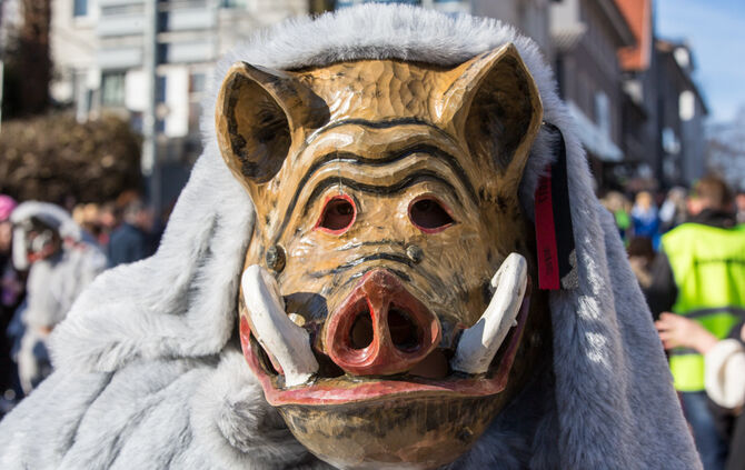 Faschingsumzug - Bild 39_38