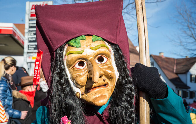 Faschingsumzug - Bild 43_42