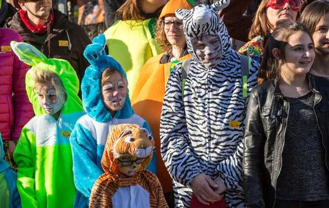 Faschingsumzug - Bild 55_54