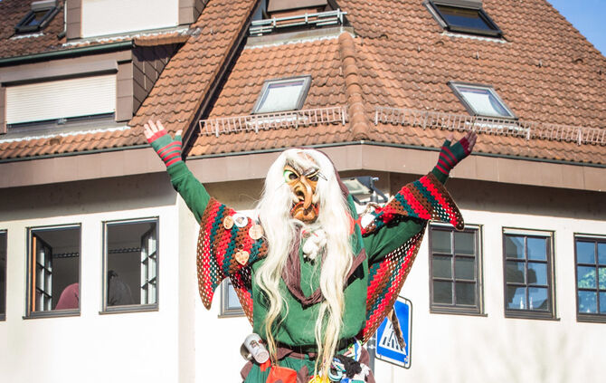 Faschingsumzug - Bild 68_67