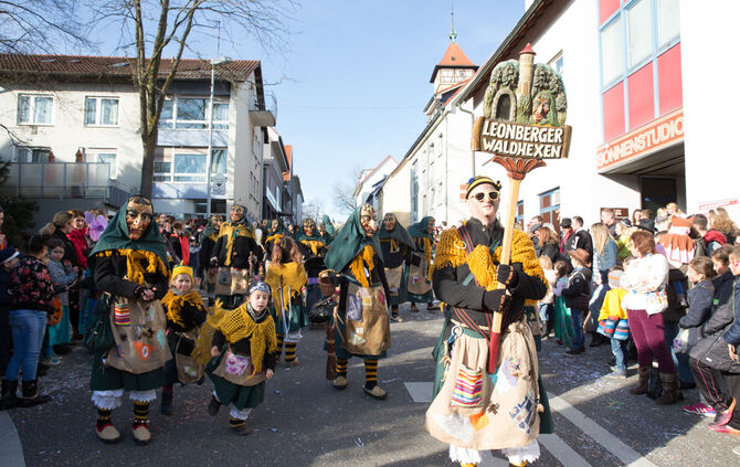 Faschingsumzug - Bild 69_68