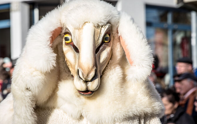 Faschingsumzug - Bild 71_70