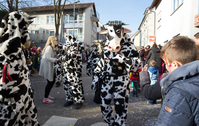 Faschingsumzug - Bild 92_91