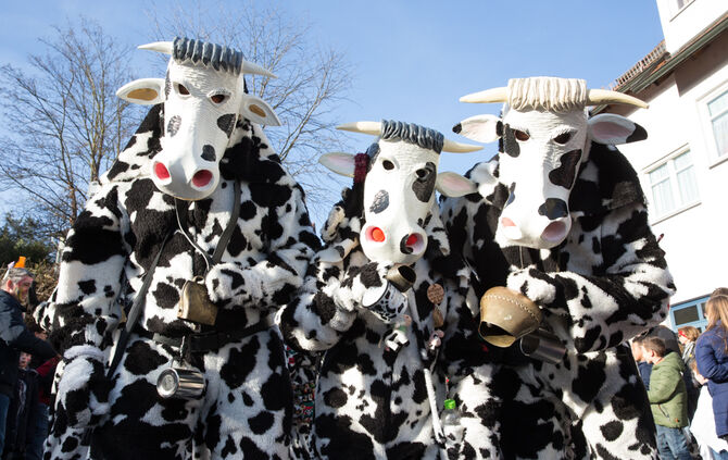 Faschingsumzug - Bild 98_97