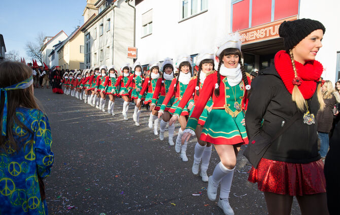 Faschingsumzug - Bild 100_99