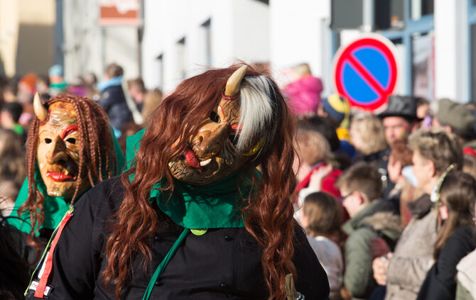 Faschingsumzug - Bild 109_108