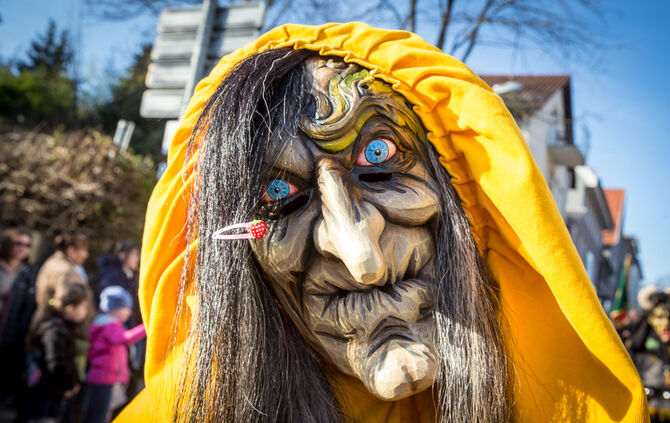 Faschingsumzug - Bild 113_112