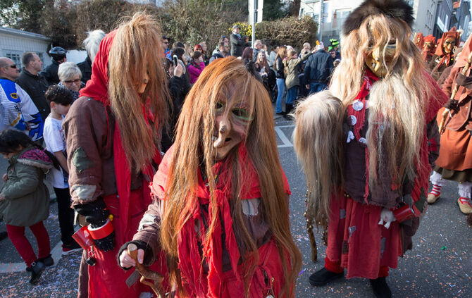 Faschingsumzug - Bild 114_113