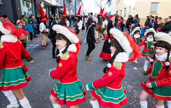 Faschingsumzug - Bild 120_119