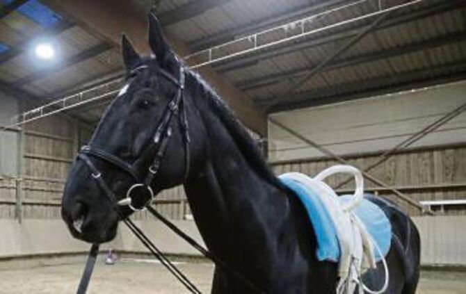 16bd07fd-5a36-40ca-beee-e7fddd86e096.jpg_1