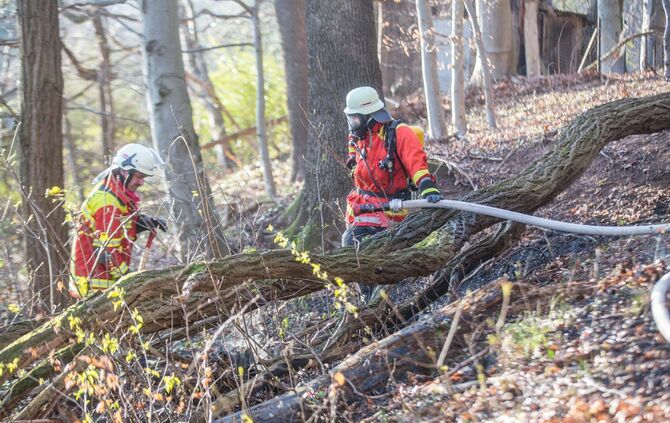 100qm Waldboden brennt am Waldrand von Remshalden - Feuerwehr lÃ¶scht Baumstamm und trockenes Laub_0