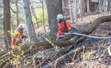 100qm Waldboden brennt am Waldrand von Remshalden - Feuerwehr lÃ¶scht Baumstamm und trockenes Laub_0