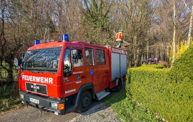 100qm Waldboden brennt am Waldrand von Remshalden - Feuerwehr lÃ¶scht Baumstamm und trockenes Laub_1