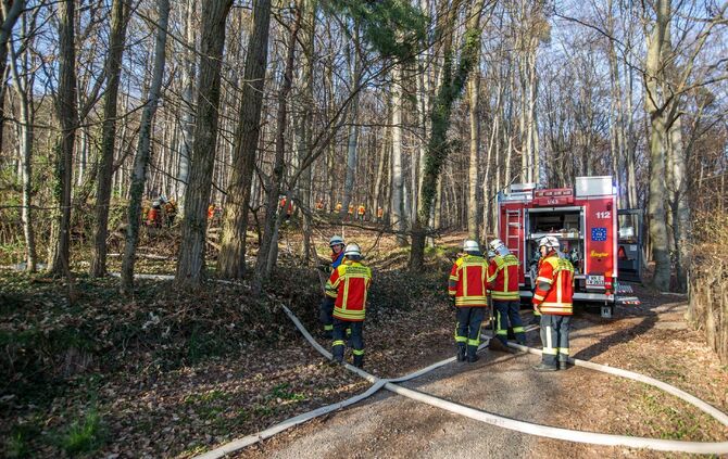 100qm Waldboden brennt am Waldrand von Remshalden - Feuerwehr lÃ¶scht Baumstamm und trockenes Laub_2