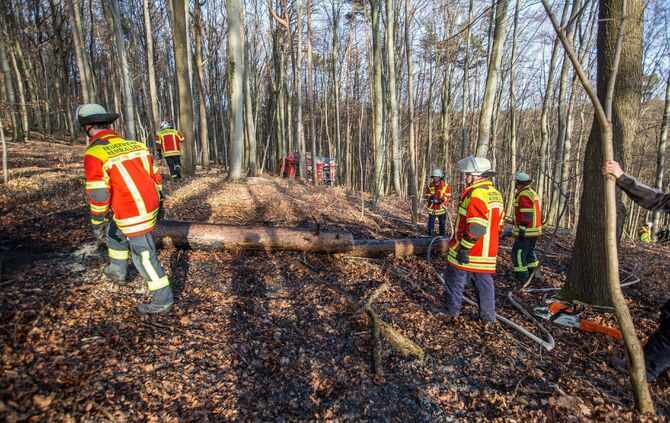 100qm Waldboden brennt am Waldrand von Remshalden - Feuerwehr lÃ¶scht Baumstamm und trockenes Laub_3