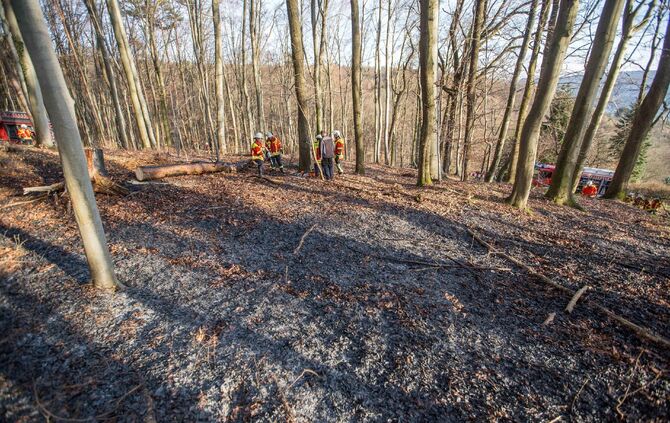 100qm Waldboden brennt am Waldrand von Remshalden - Feuerwehr lÃ¶scht Baumstamm und trockenes Laub_4