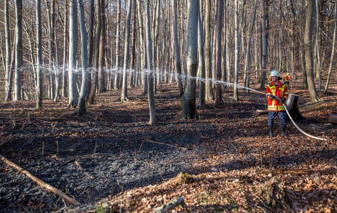 100qm Waldboden brennt am Waldrand von Remshalden - Feuerwehr lÃ¶scht Baumstamm und trockenes Laub_5
