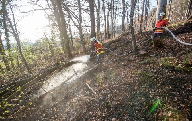100qm Waldboden brennt am Waldrand von Remshalden - Feuerwehr lÃ¶scht Baumstamm und trockenes Laub_8