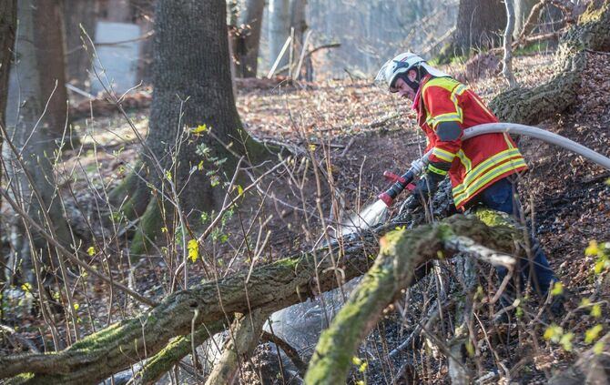 100qm Waldboden brennt am Waldrand von Remshalden - Feuerwehr lÃ¶scht Baumstamm und trockenes Laub_9