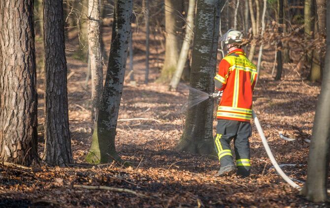 100qm Waldboden brennt am Waldrand von Remshalden - Feuerwehr lÃ¶scht Baumstamm und trockenes Laub_10