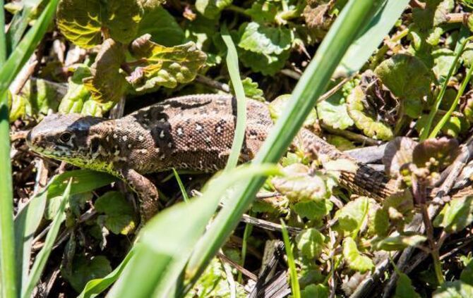 b7b73a13-2710-4e4b-9814-a34c18c4a441.jpg_0