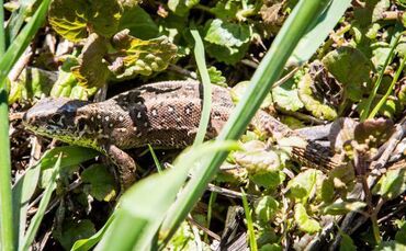 b7b73a13-2710-4e4b-9814-a34c18c4a441.jpg_0