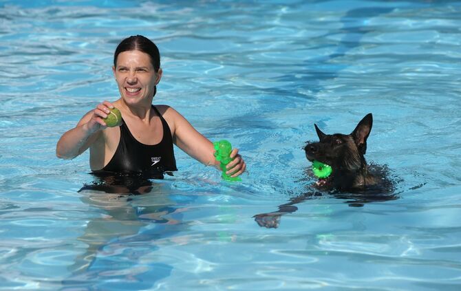 Hundebadetag - Bild 19_0