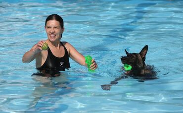 Hundebadetag - Bild 19_0