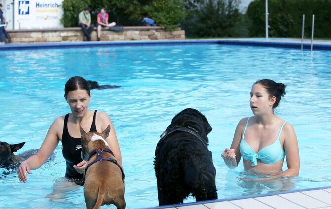 Hundebadetag - Bild 09_1