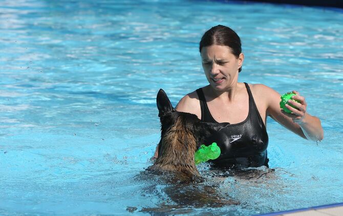 Hundebadetag - Bild 05_6