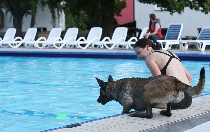 Hundebadetag - Bild 07_8