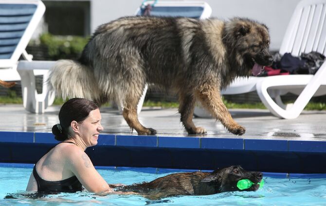 Hundebadetag - Bild 12_12