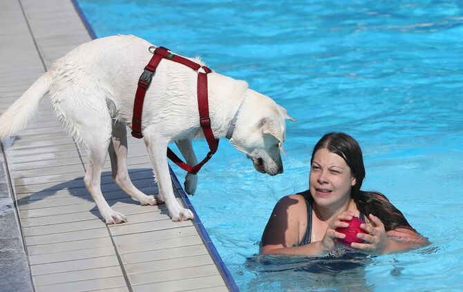 Hundebadetag - Bild 17_17