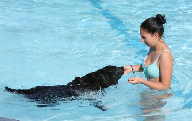 Hundebadetag - Bild 21_20