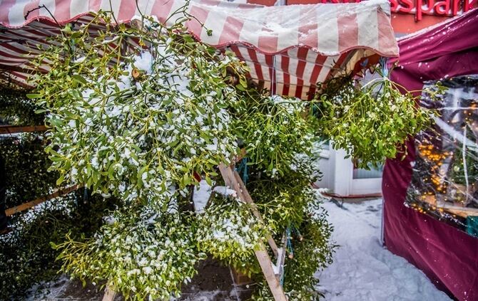 Weihnachtsmarkt in der Ortsmitte - Bild 29_27