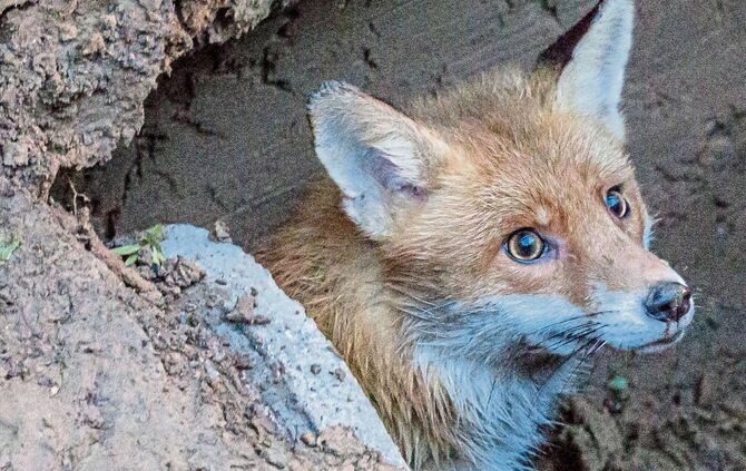 10d47203-23b6-4db7-9abe-b74086ecb85e.jpg_0