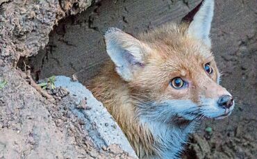 10d47203-23b6-4db7-9abe-b74086ecb85e.jpg_0