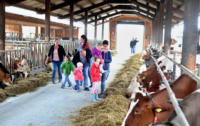 Offene Tür beim Stiftsgrundhof - Bild 01_0