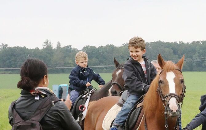 Offene Tür beim Stiftsgrundhof - Bild 02_1