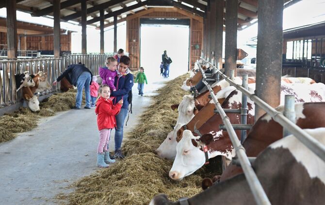 Offene Tür beim Stiftsgrundhof - Bild 03_2