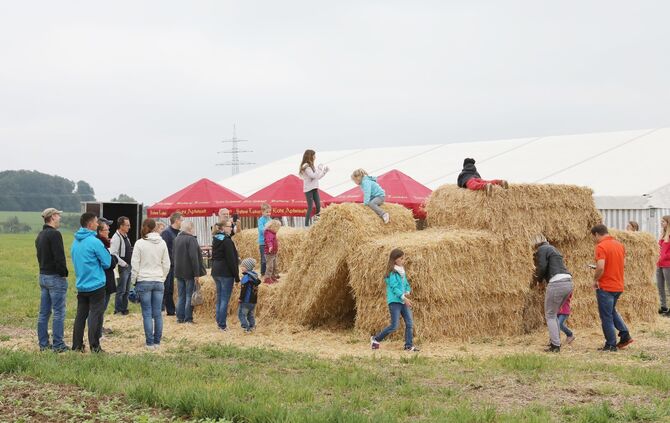 Offene Tür beim Stiftsgrundhof - Bild 06_5