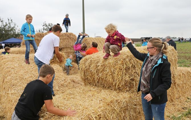 Offene Tür beim Stiftsgrundhof - Bild 07_6