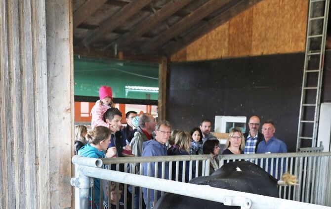 Offene Tür beim Stiftsgrundhof - Bild 09_8