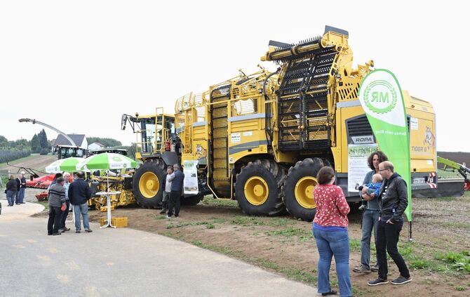Offene Tür beim Stiftsgrundhof - Bild 10_9