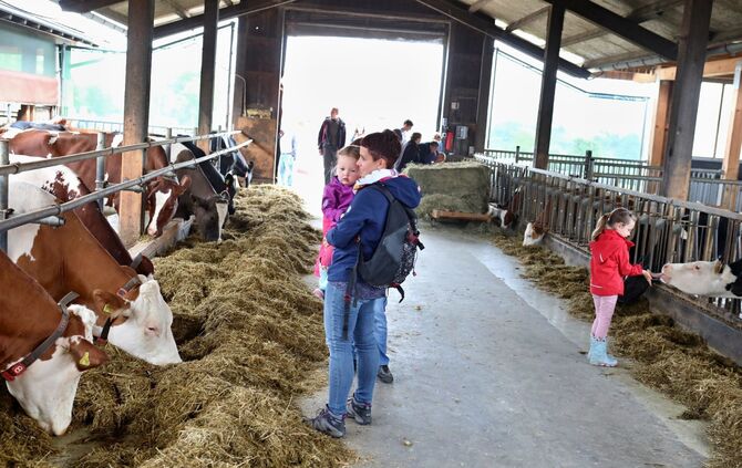 Offene Tür beim Stiftsgrundhof - Bild 13_12