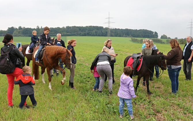 Offene Tür beim Stiftsgrundhof - Bild 14_13