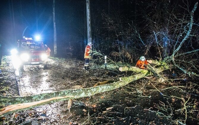 Sturm über dem Schurwald - Bild 02_1