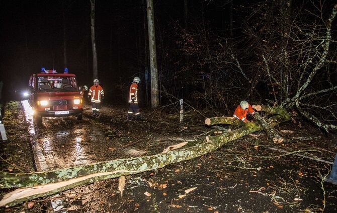Sturm über dem Schurwald - Bild 03_2