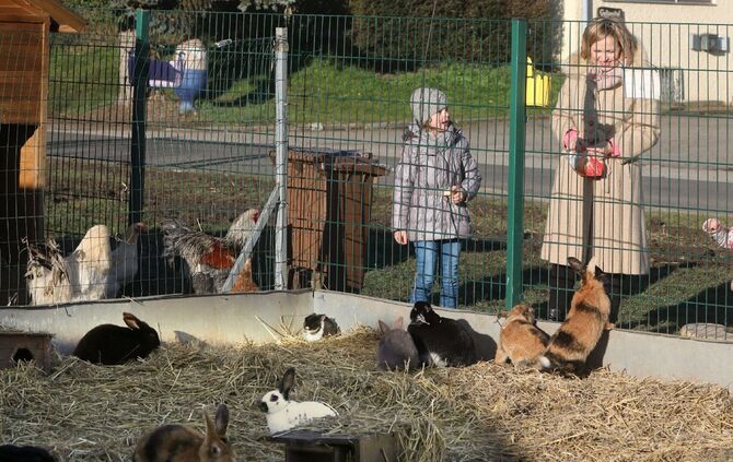 Klein-Wilhelma Kleinhegnach Streichelzoo Tiere Geflügelhof Ludwig Waiblingen_2